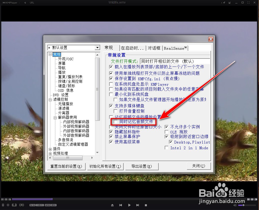 KMPlayer如何记住加载的音频位置