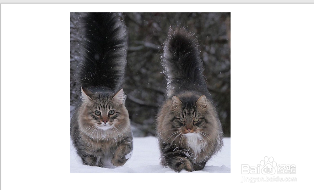 如何保护电脑中的重要文件