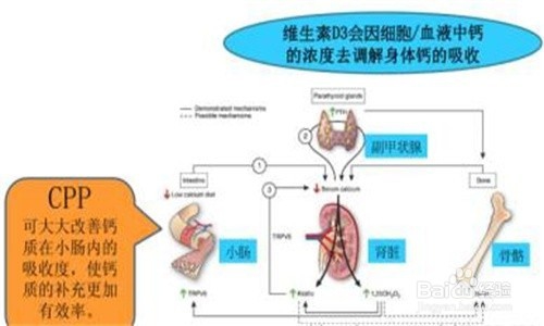 常吃钙片也会缺钙