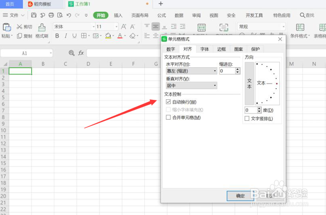 怎么在Excel的一个单元格内输入两行或多行文字
