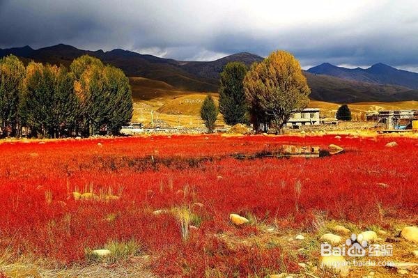 桃花灼灼，神仙妹子最爱去的地方