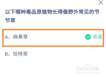 蚂蚁庄园，哪种毒品原植物长得像常见的节节草