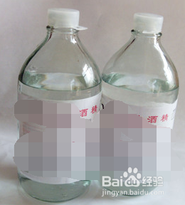 什么是狂犬病，该怎么预防