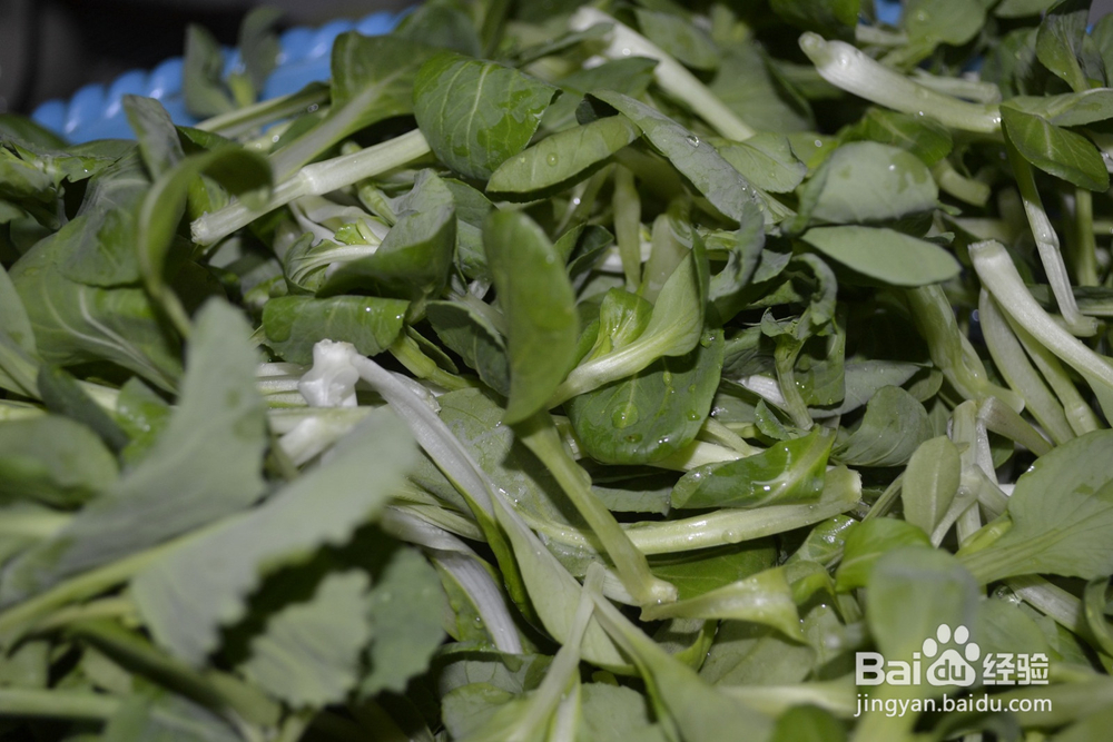 爆炒自家小青菜