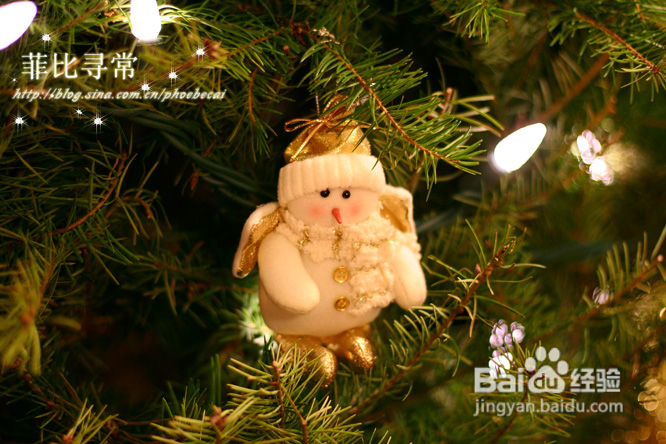 圣诞树今生的奇妙之旅(组图)