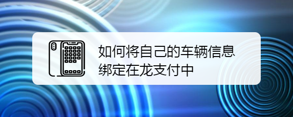 如何将自己的车辆信息绑定在龙支付中
