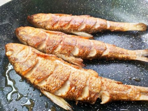 土法酱焖虫虫鱼