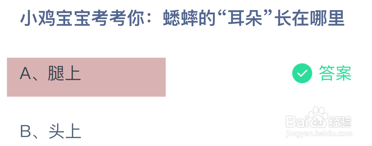 蚂蚁庄园答案蟋蟀的“耳朵”长在哪里