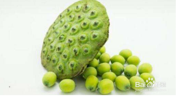 寒性食物一览表