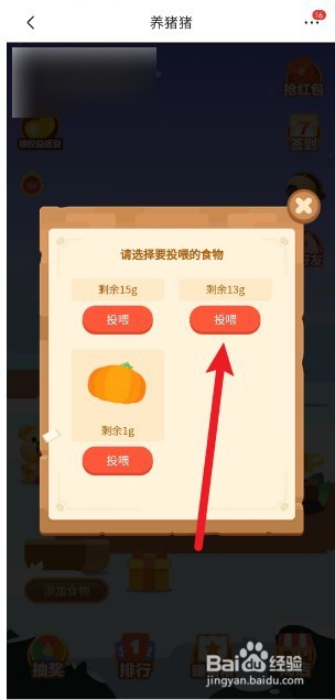 京东的养猪猪活动如何添加食物