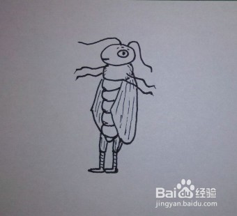 简笔画：教你怎么画蟋蟀