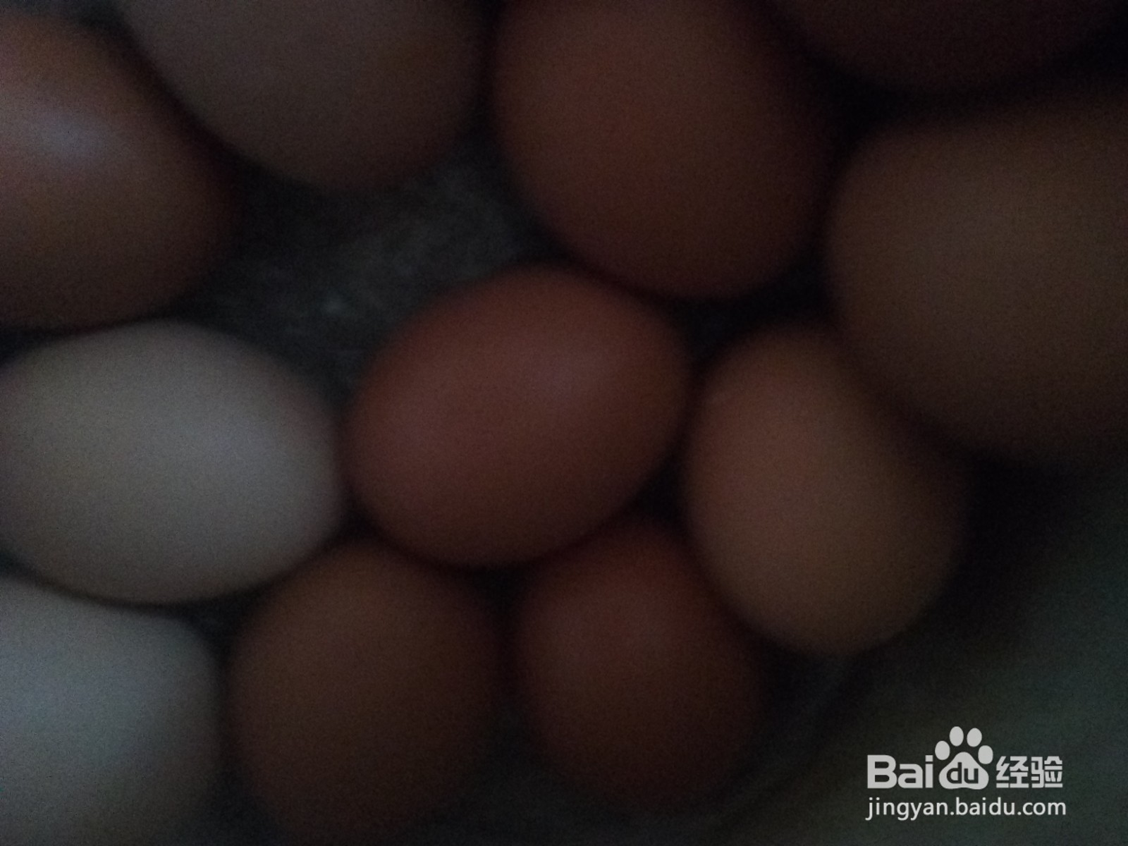 家常菜圆葱炒鸡蛋