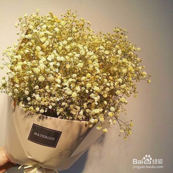 十二星座中一般不与人争，要争就绝不相让的星座