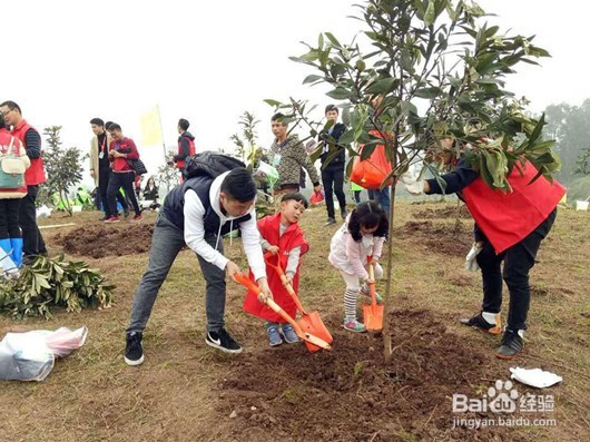 2018年植树节是哪天，如何和孩子过植树节？