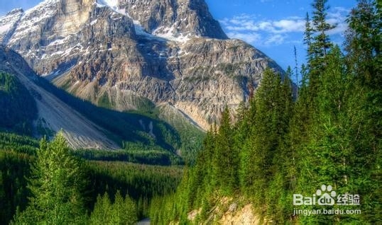 价值连城75个不传之密医院都不知的秘密（一）