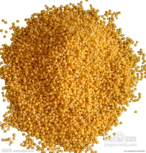 冬天保养肠胃的食物有哪些