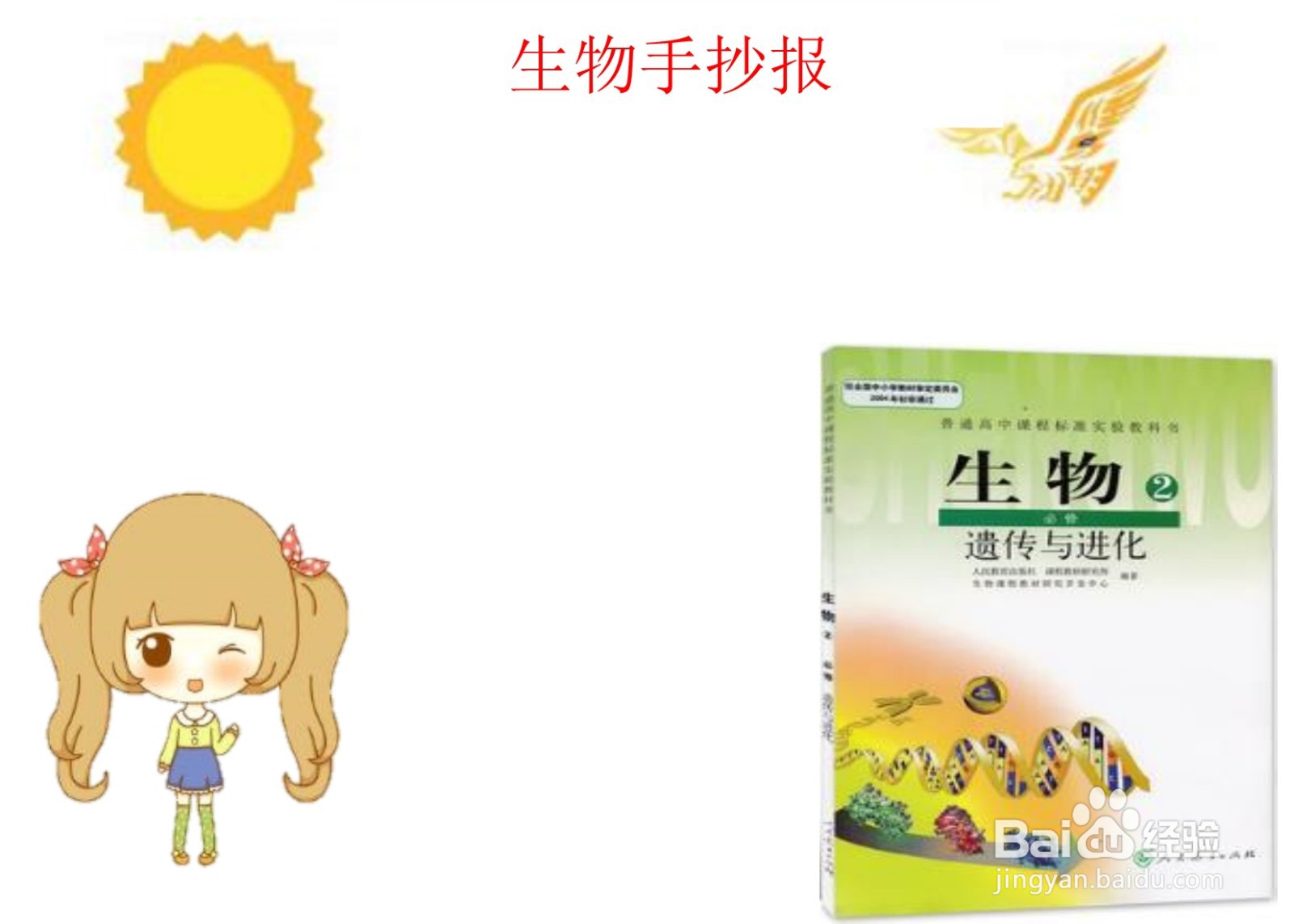 生物手抄报高中