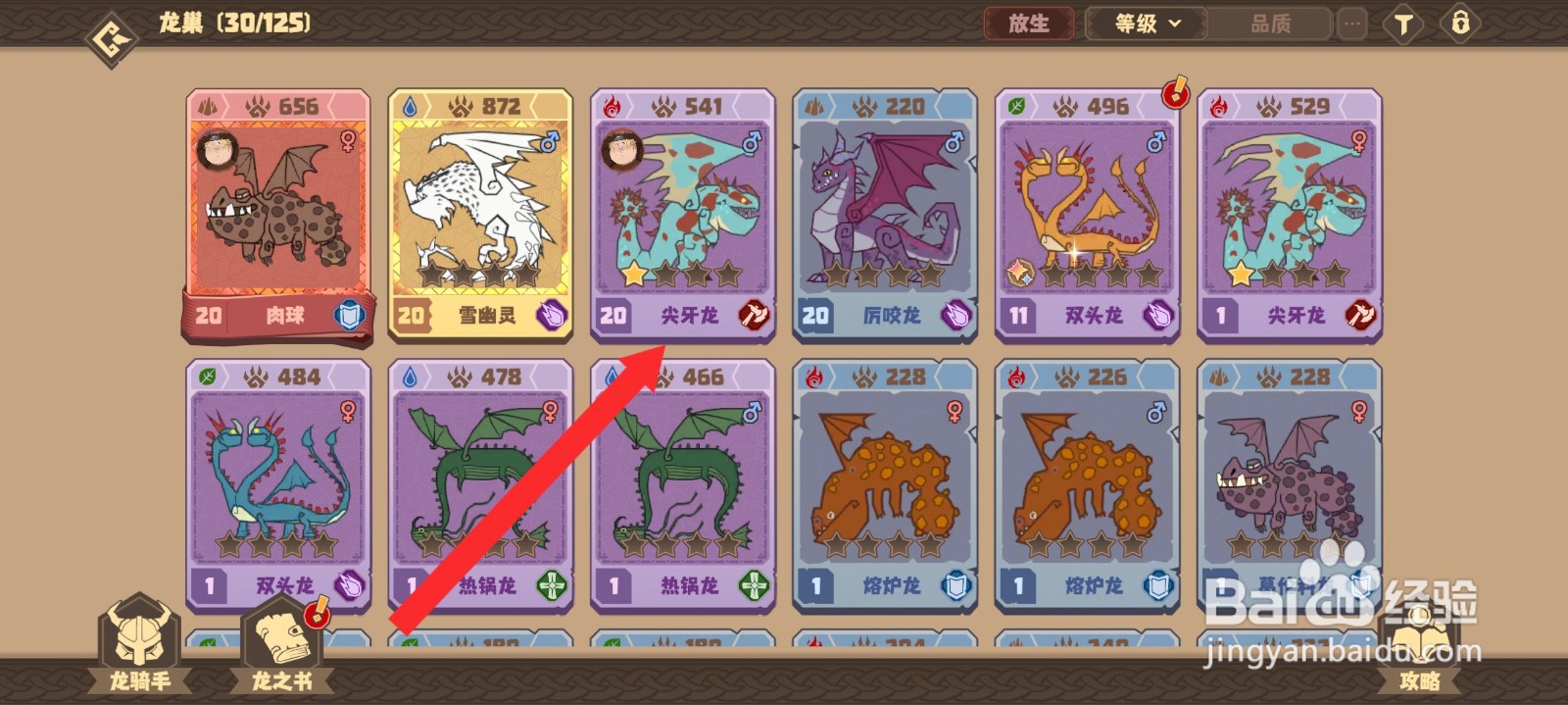 驯龙高手旅程如何放生尖牙龙