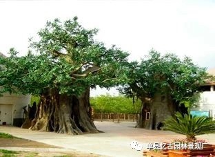 生态园大门制作经验心得