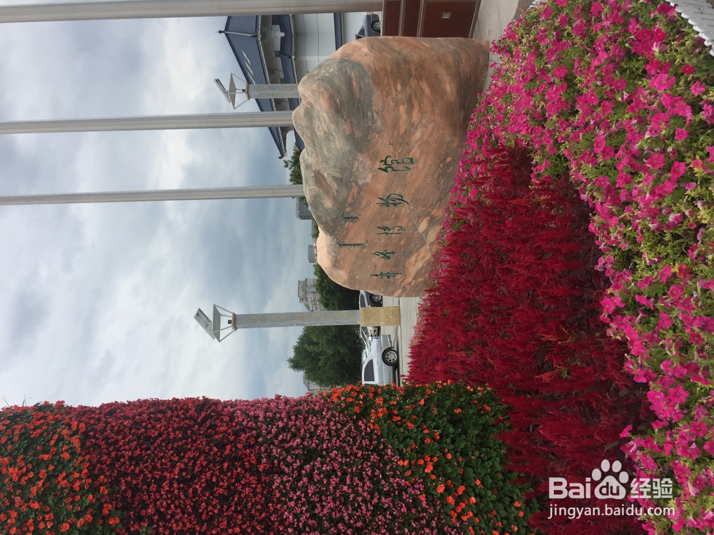 暑假内蒙七日游