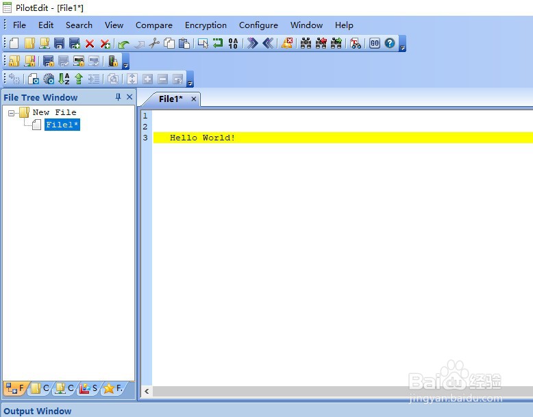 如何使用PilotEdit工具进行加密文件
