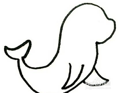 海豹的简单画法步骤