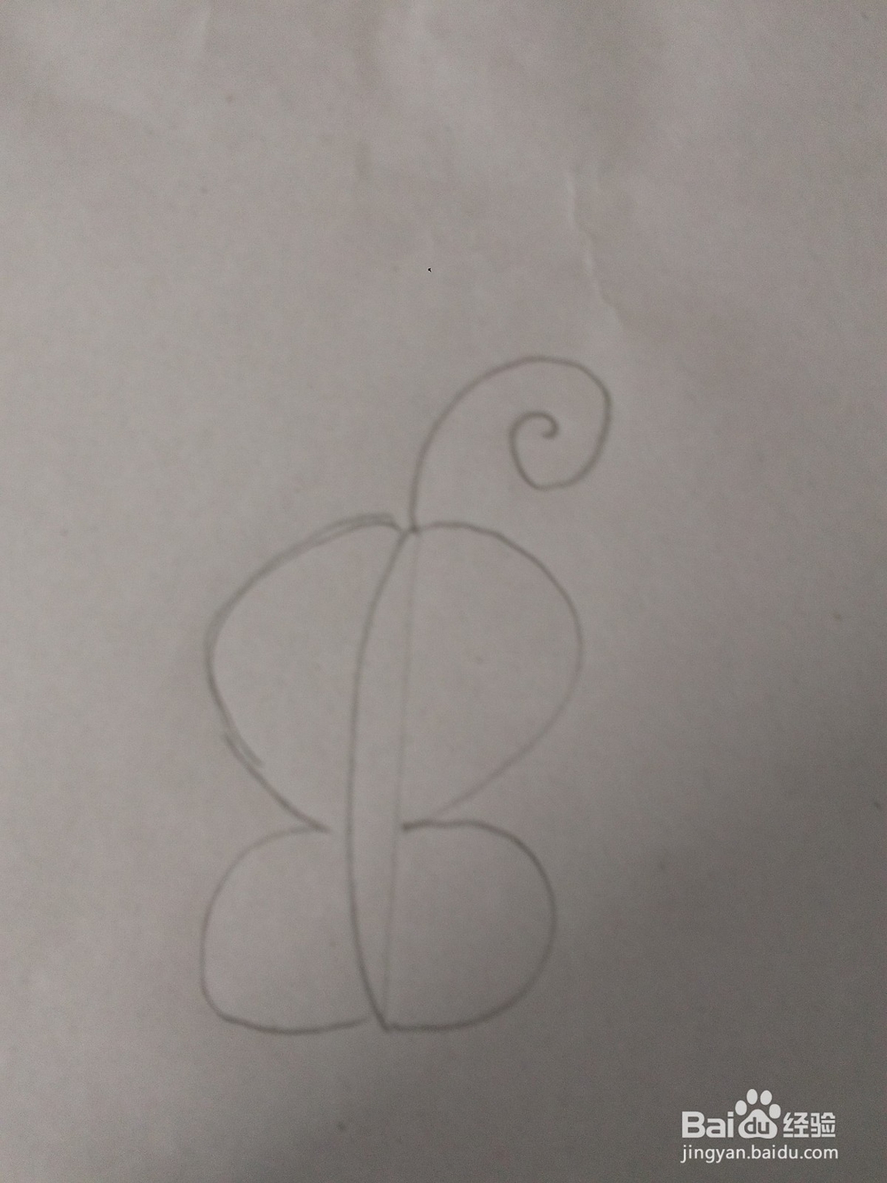 用字母B能画一个什么小动物