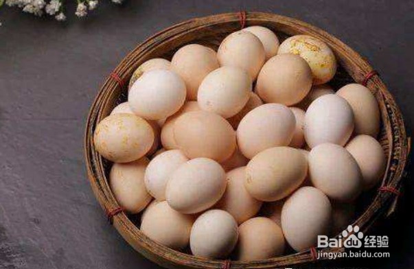 鸡转换蛋DHA方法