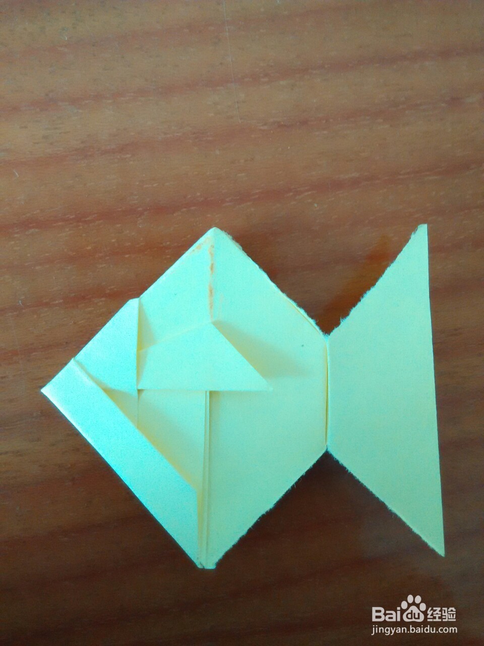 如何折热带鱼折纸？