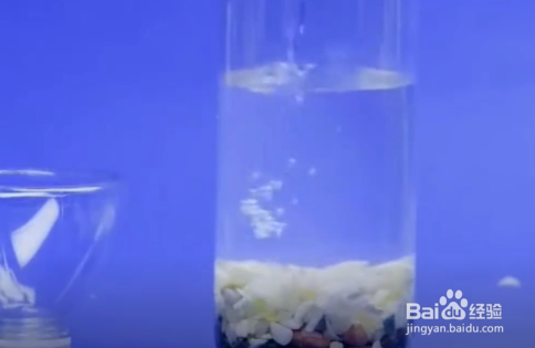 塑料瓶怎么变废为宝