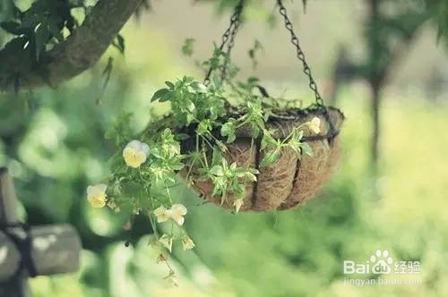 长了暗疮该怎么办？