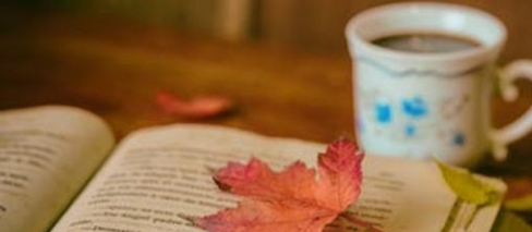 写作小白如何变成高手