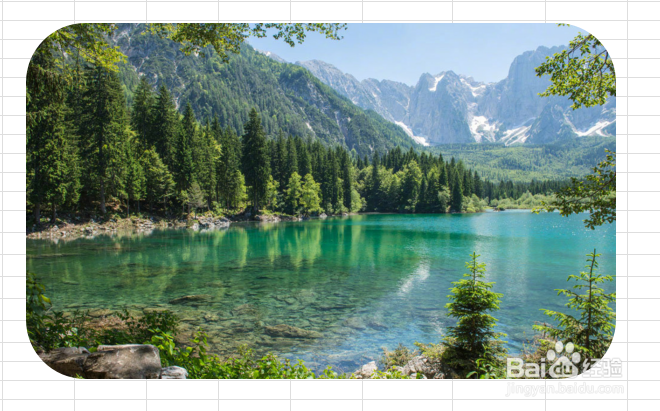 如何裁剪excel中的图片