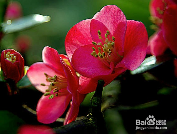 如何应对干燥寒冷的秋冬季？