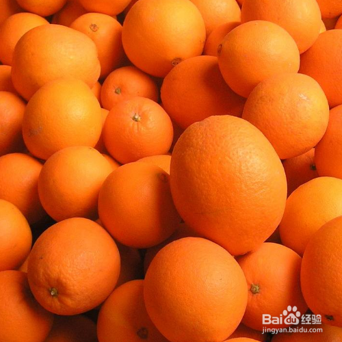 脐橙各种病叶片认别