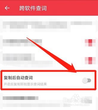 有道词典中,怎么设置复制后自动查词
