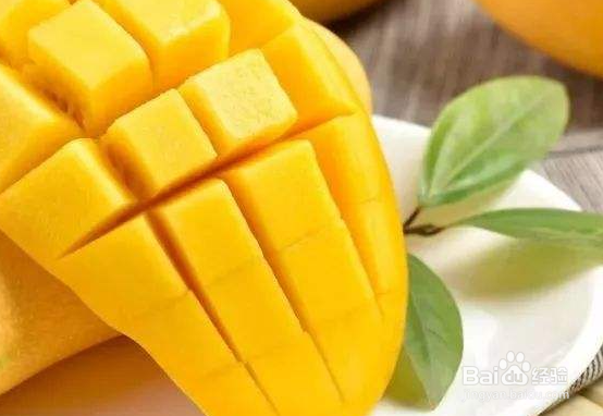 芒果核长出黑色的茎