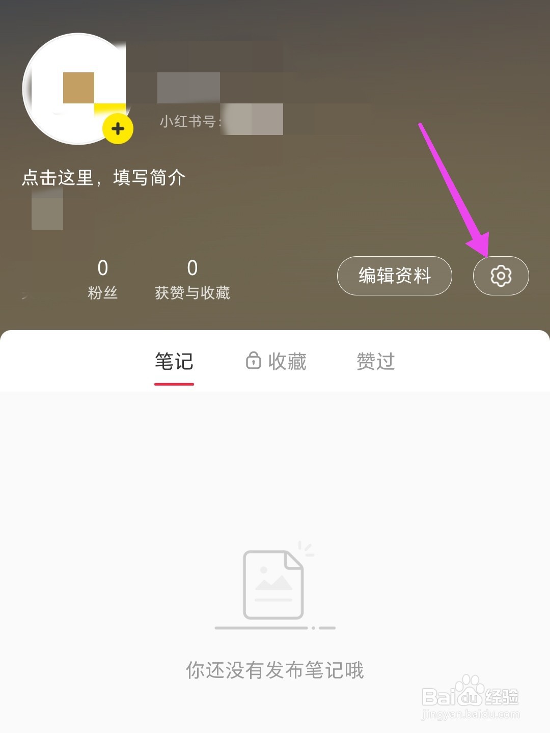 小红书怎么开启自动刷新