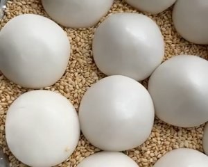 空心麻团做起来