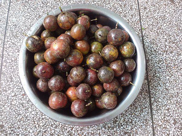 教你自制百香果酱