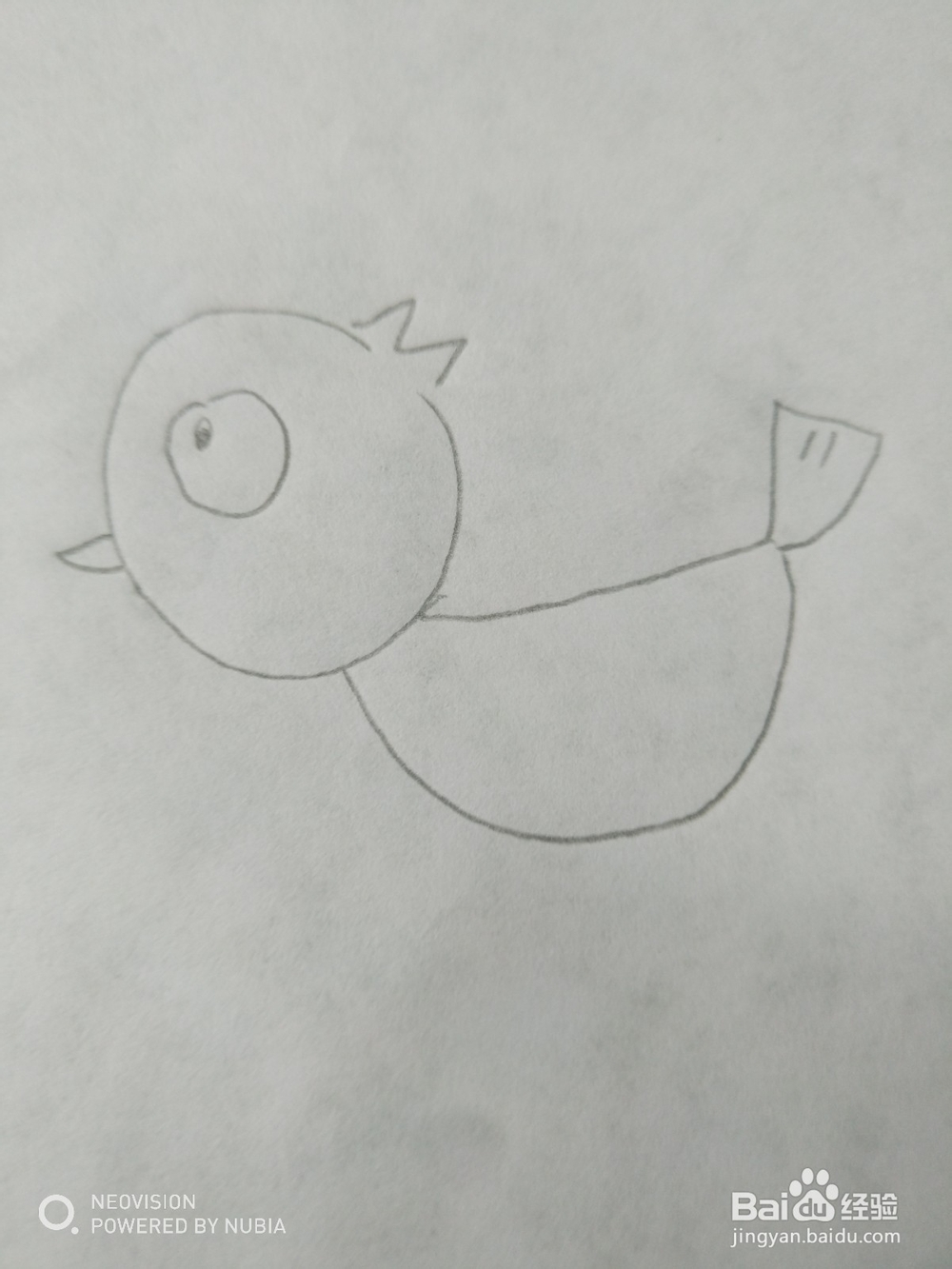 简单可爱的小鸟怎么画（四）