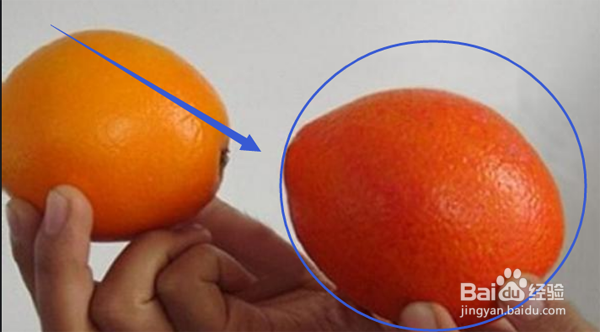 怎么挑到甜的橙子