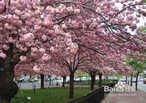 五一出境游体验异国风情