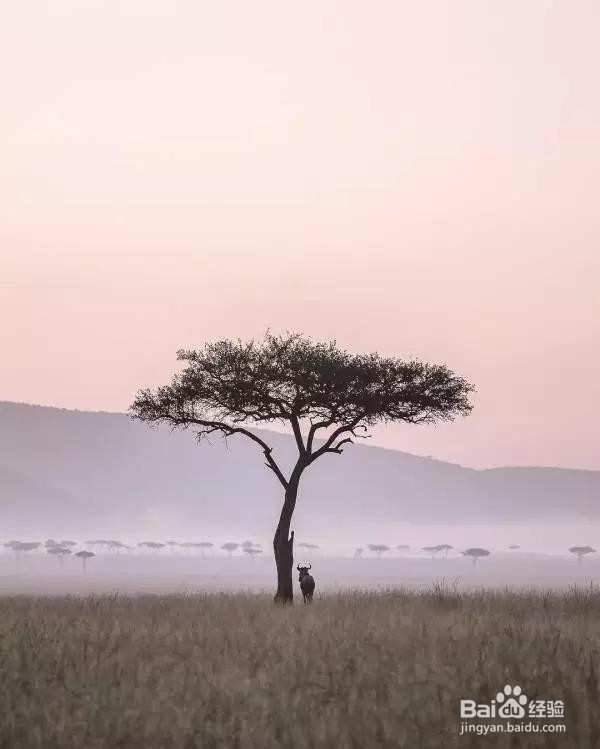 这几个拍照套路，分分钟刷爆朋友圈！