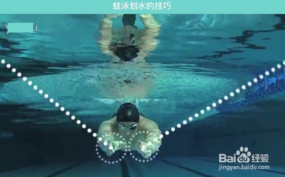 怎么学习游泳之蛙泳技巧