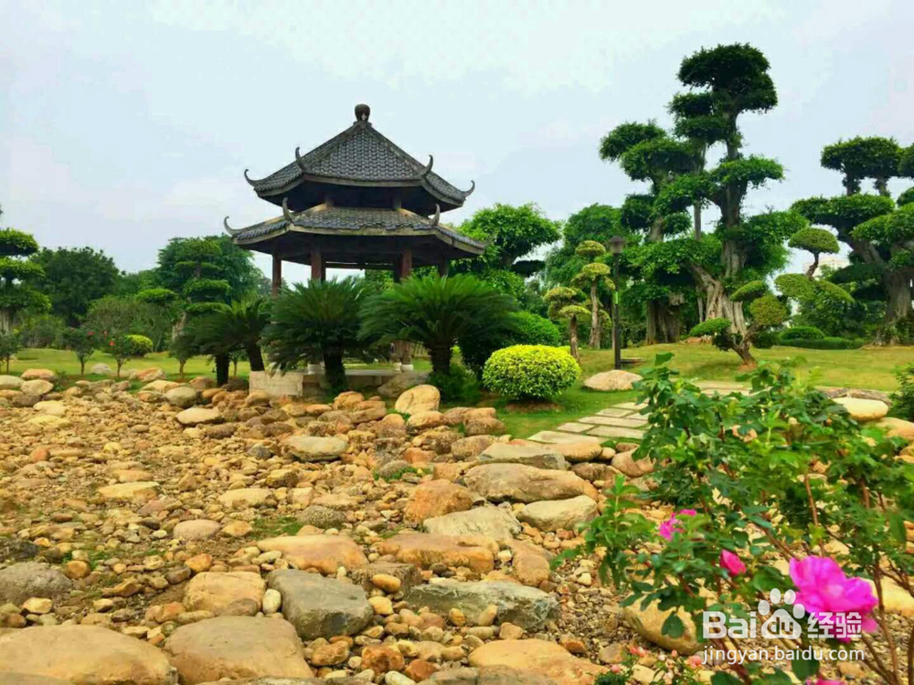 广西南宁南湖公园里面、千姿百态的盆景