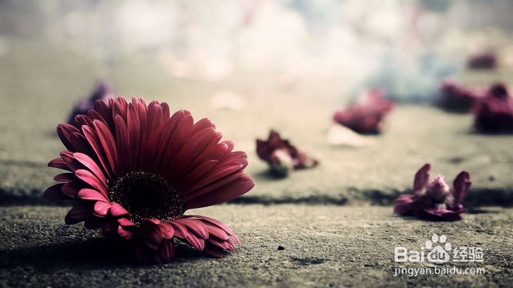 如何辨别你喜欢的他是否也正好喜欢你