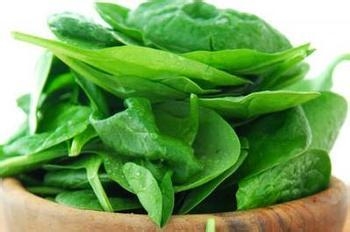 吃什么食物对掉头发有效