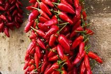 怎样去除（防治）脸上的痘痘