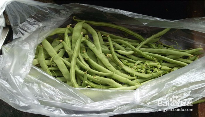 怎么做出好吃又营养的炒豆角
